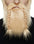 Barba de Vikingo con Trenzas Barbas y Bigotes Viving Rubio