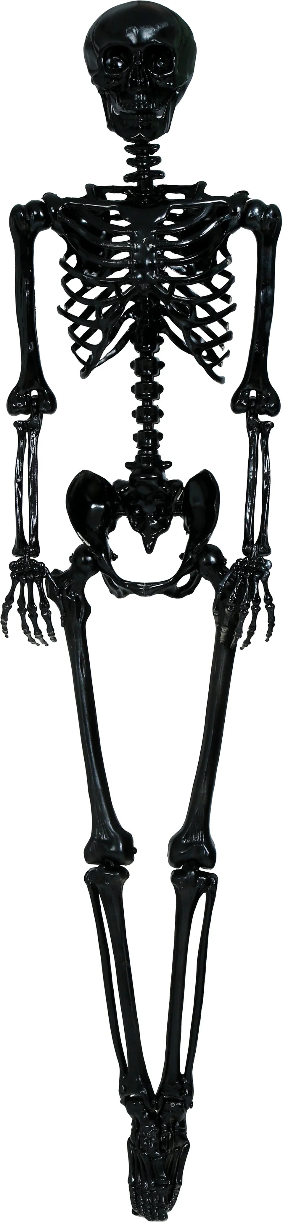 Esqueleto Negro para Decoración de 160cm Esqueletos Guirca