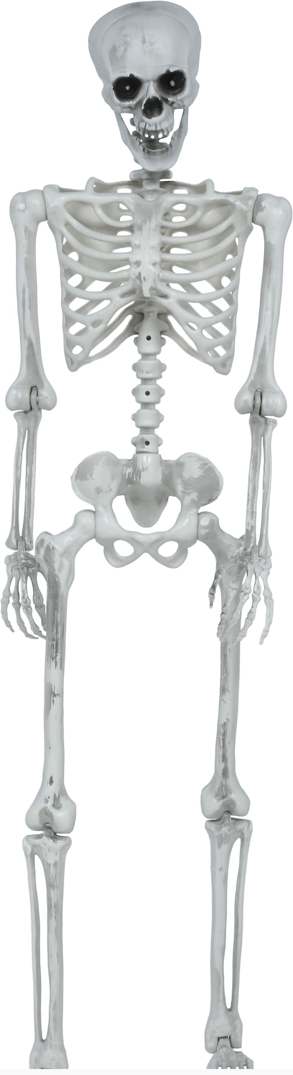 Beweglicher 145 cm Skelet-Dekoration