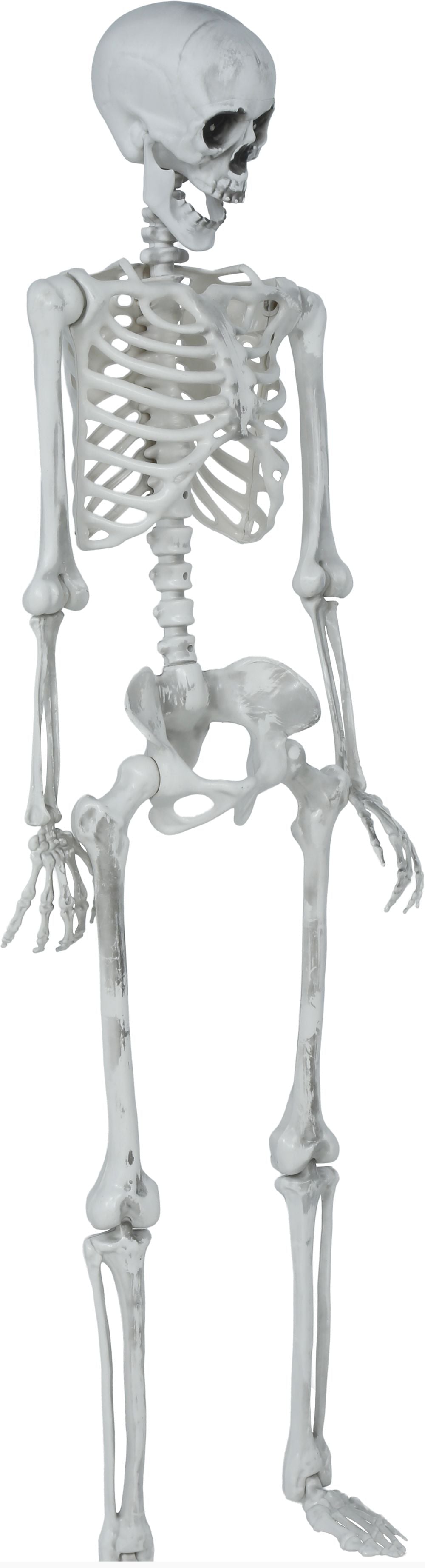 Beweglicher 145 cm Skelet-Dekoration