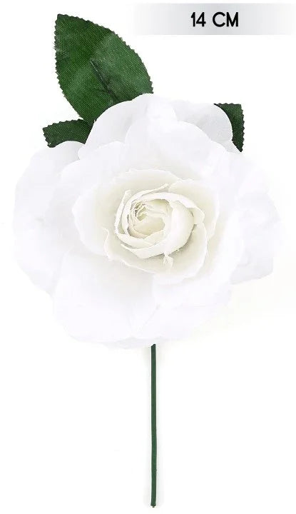 Rosa Blanca Elegante Flores Partilandia