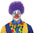 Clownperücken mit bunten Locken